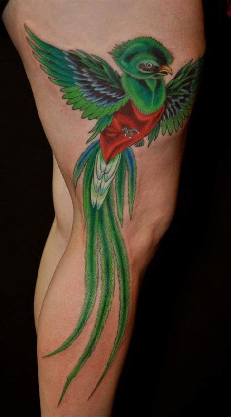 Quetzal bird tattoo Quetzal tattoo, Bird tattoo meaning, Birds tattoo
