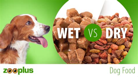 Quick Answer: Is it OK to mix wet food with dry dog food?