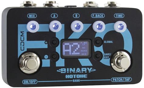 Quick Hit: Hotone Audio Binary Eko Review - Premier Guitar