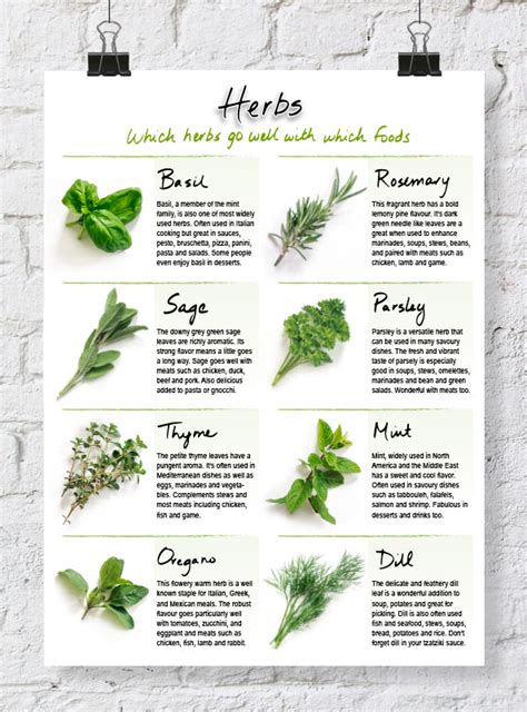 Quick Reference Herb Chart Dabbles & Babbles