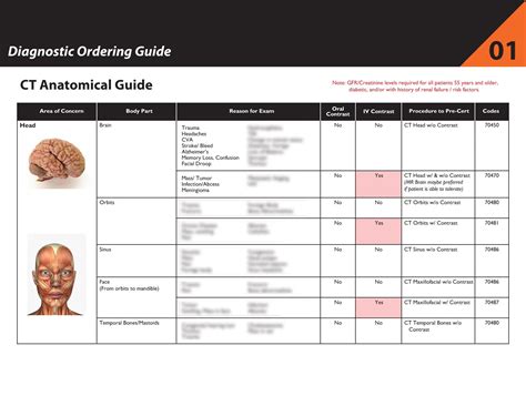 Quick Reference To Radiology