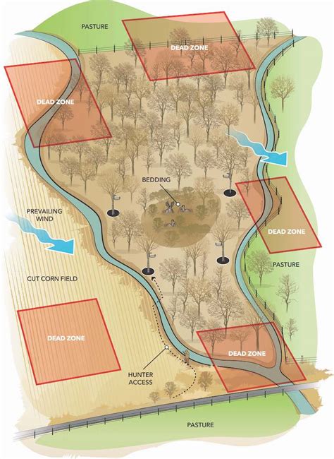 Quick Tip: Bypass Whitetail ‘Dead Zones