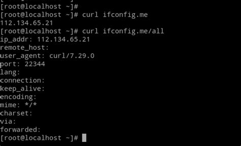 Quick Tip: Get or Find your Public IP Address using curl