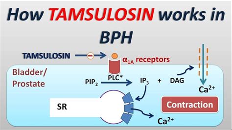 th?q=Quick+and+Easy+tamsulosin+Ordering+Process