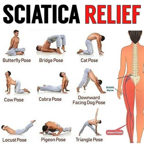 Quick sciatic exercises a quick concise guide full of exercises to relieve back pain. - Yamaha portatone electronic keyboard ypt 300 manual.