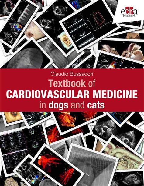 Read Quick Look Vet Cardiology By James  Ross