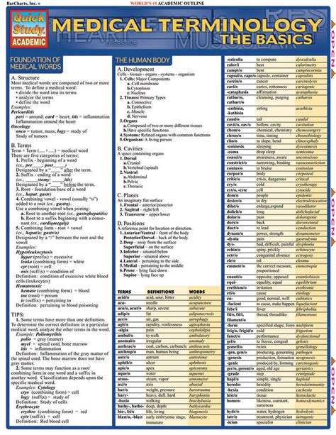 QuickStudy Medical TerminologyThe Basics Laminated Study Guide