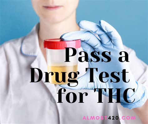 Quickest Way To Pass A Drug Test