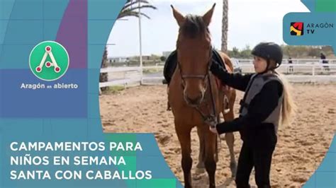 Quiero Ver Mujeres Haciendo El Amor Con Caballos