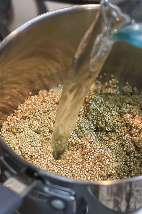 Quinoa in water