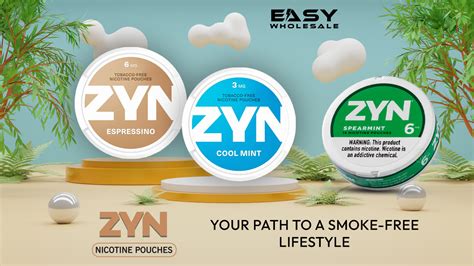 Quit Smoking with ZYN Pouches: Your Path to a Smoke-Free Life