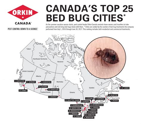 Quit bugging me: Toronto again ranked worst city in Canada for bed bugs