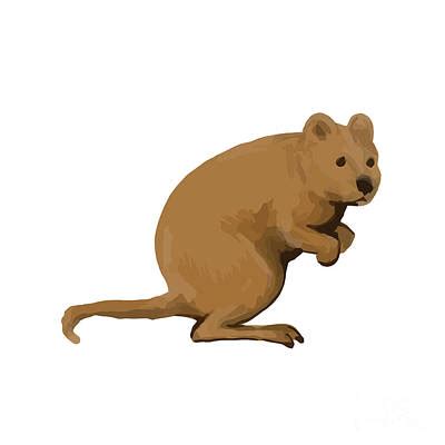 Quokkas Posters Pixels