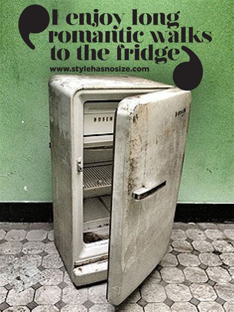 Quotes About The Refrigerator. QuotesGram