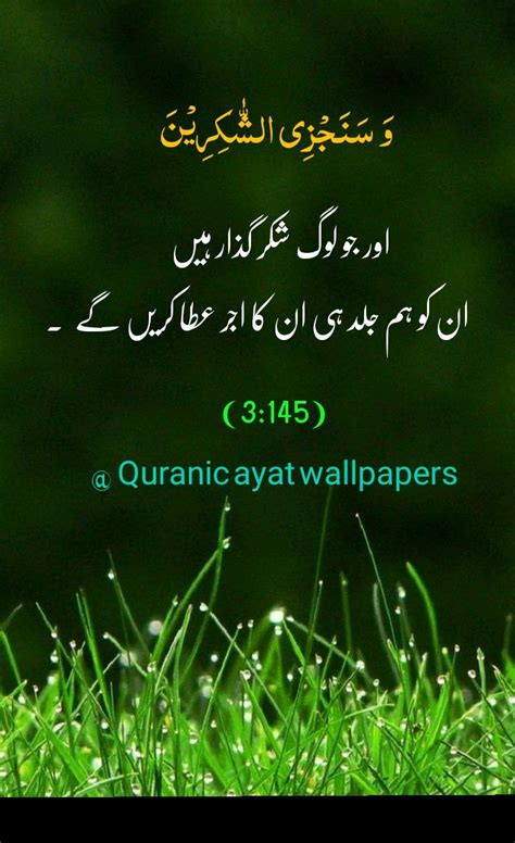 Quran ayat with urdu translation text.  In Modern English.  Read, Listen, Search, D...