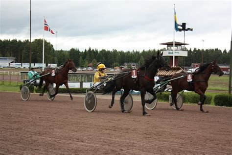 Rättvikstravet program