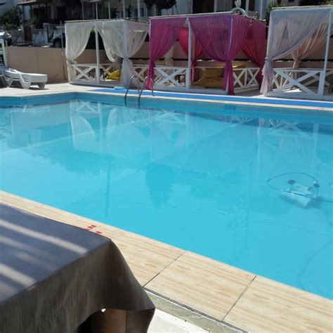 veodersti.rgarabwor.edu.pl. 