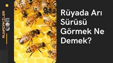 Rüyada Oğul Arı Görmek Güncel Rüya Tabirleri.