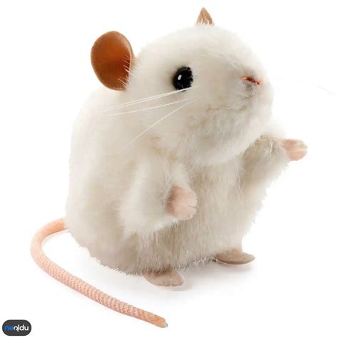 Rüyada beyaz fare görmek