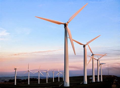 veodersti.rgarabwor.edu.pl. 