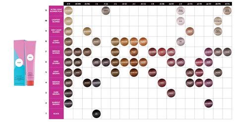R And Co Color Chart