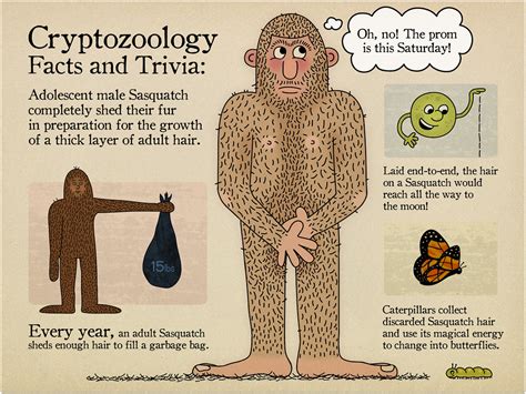 Cryptozoology is the study of animals tha