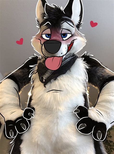 R gay yiff. 12K subscribers in the FurryWallpapers community. Trade your Furry Wallpapers here! 
