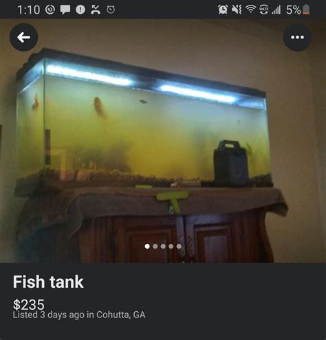 28 I_Love_Milfs96 • 1 yr. ago Yes just because that gold fish needs a 29+ gallon tank and a heater would be a nice touch for the fish 50 13_keys • 1 yr. ago jeez i didn't even see the goldfish until i double checked… i thought it was an unstocked tank n the fish was a piece of driftwood or something… 30 strawberrypleco • 1 yr. ago. 