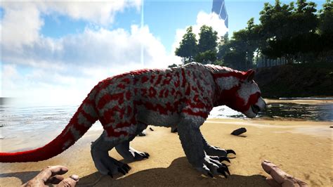 R thylacoleo. The Thylacoleo (thy-lah-ko-lee-oh), more commonly known as a Marsupial Lion, Tree Cat or simply Thyla, is one of the Creatures in ARK: Survival Evolved. The Thylacoleo lives in the Redwoods on The Island, Ragnarok, Extinction, Valguero, The Center, Crystal Isles, and Lost Island. In Scorched... 