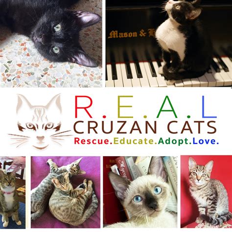 R.E.A.L. Cruzan Cats