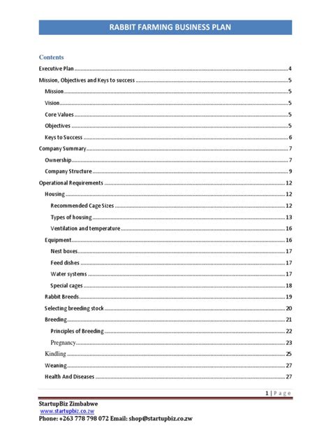 Rabbit Farming Business Plan (2024) - raincitystudios.com