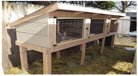 Rabbit Management Plan - Willandra Lakes Region … - raincitystudios.com