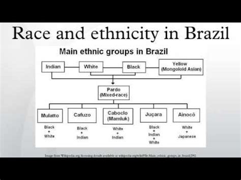 Race and ethnicity in Brazil - wintechmobiles.com