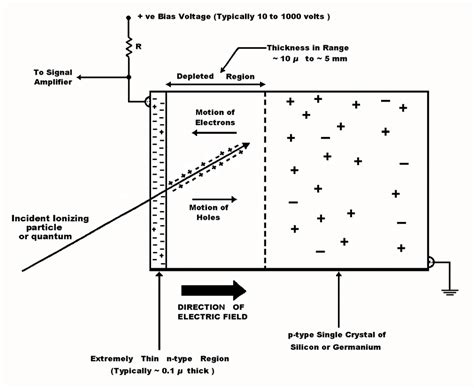 Radiation Shielding Selection Guide: Types, Features, Applications ... - wintechmobiles.com