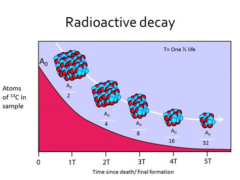 Radioactive Decay of Carbon-14 | Open Medscience - wintechmobiles.com
