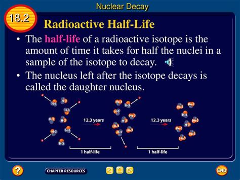 Radioactive Half-Life - HyperPhysics - wintechmobiles.com