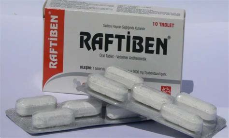 RAFTİBEN. 