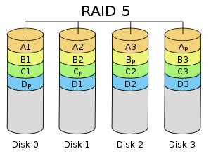 RAID Standard Requirements