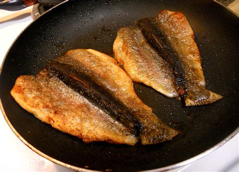 RAINBOW TROUT STYLES & CUTS - Clear Springs Foods