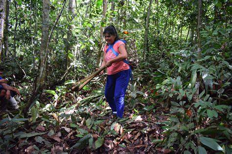 Rainforest Protection Thanks to Indigenous … - raincitystudios.com