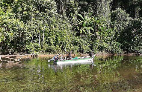 Rainforest Protection Thanks to Indigenous Communities in Solomon Islands - raincitystudios.com
