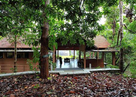 Rainforest Resort, Athirappilly (updated prices 2026) - raincitystudios.com