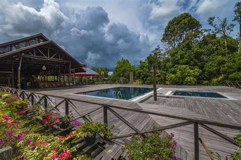 Rainforest Resort & Adventures | All inclusive Jungle … - raincitystudios.com