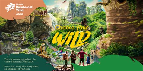 Rainforest Wild - muktibox.com