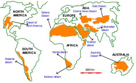Rainforests and deserts - Key Stage 2 Geography - BBC Teach - wintechmobiles.com
