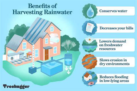 Rainwater Harvesting Benefits For Drought Tolerant Plants - raincitystudios.com
