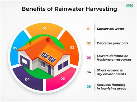 Rainwater Harvesting Benefits For Plants - raincitystudios.com