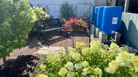 Rainwater Harvesting System at Black Diamond Garden Center - raincitystudios.com