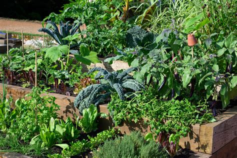 Raised Bed Gardening Inspiration by David Hurrian, Keyhole Garden ... - raincitystudios.com