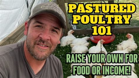 Raising Broilers on Pasture - Maine Organic Farmers … - raincitystudios.com
